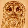 Tawny Owl Leather Pyrography Artwork