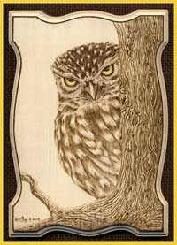 Peek-a-Boo Little Owl Ltd Ed ACEO Print by Susan Robey